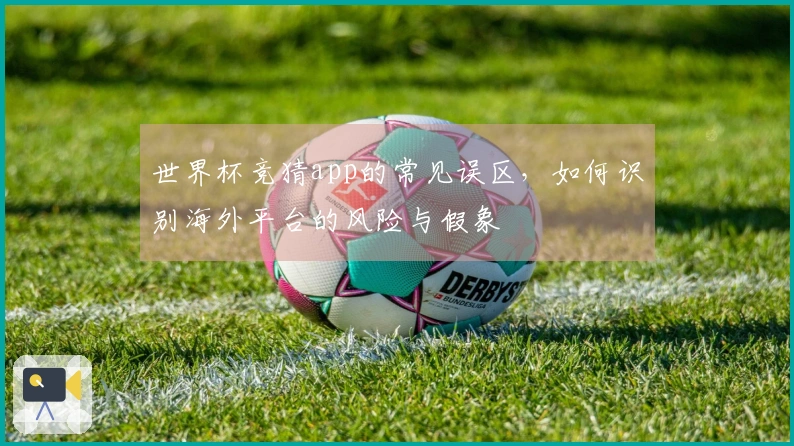 世界杯竞猜app的常见误区,如何识别海外平台的风险与假象