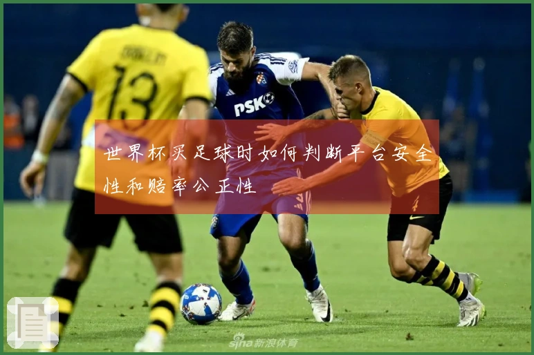 世界杯买足球时如何判断平台安全性和赔率公正性
