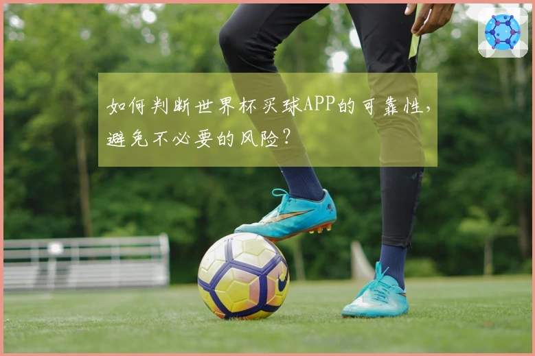 如何判断世界杯买球APP的可靠性，避免不必要的风险？