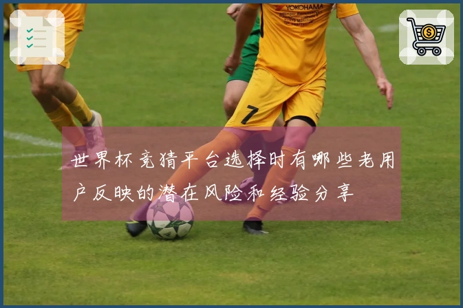 世界杯竞猜平台选择时有哪些老用户反映的潜在风险和经验分享