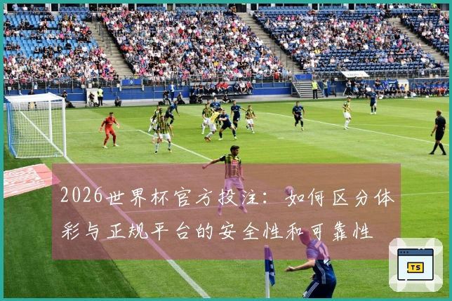 2026世界杯官方投注：如何区分体彩与正规平台的安全性和可靠性