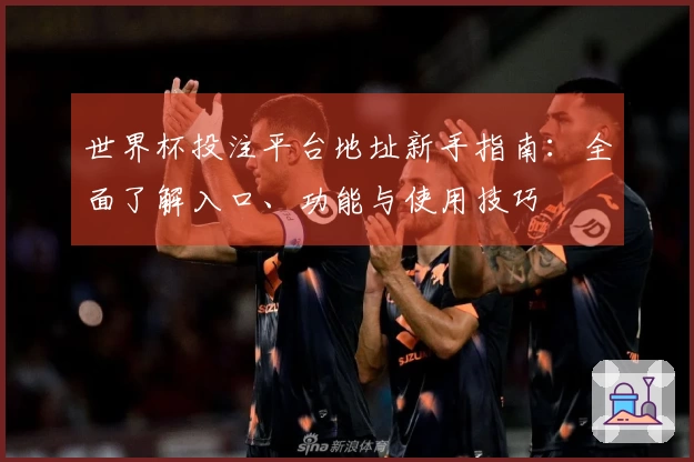 世界杯投注平台地址新手指南：全面了解入口、功能与使用技巧