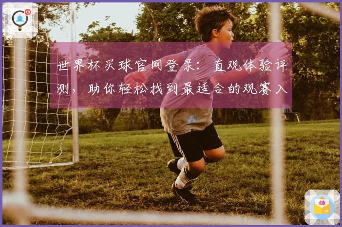 世界杯买球官网登录：直观体验评测，助你轻松找到最适合的观赛入口