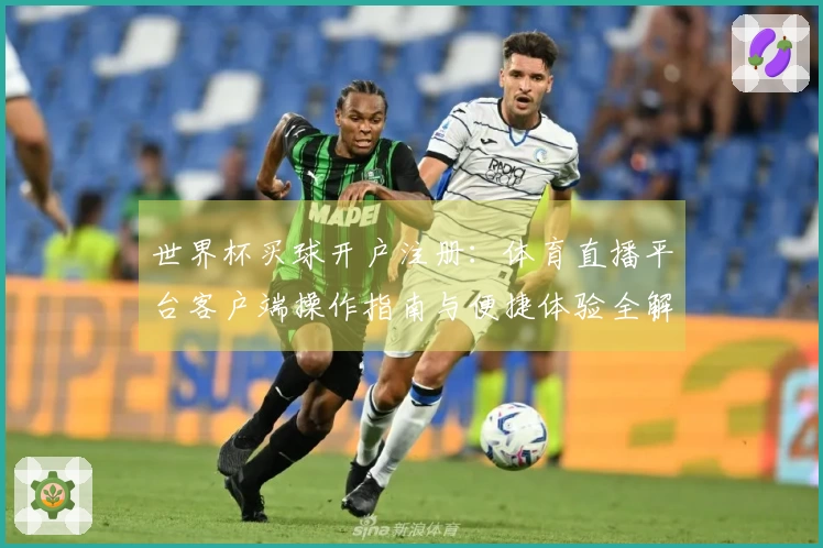 世界杯买球开户注册：体育直播平台客户端操作指南与便捷体验全解析