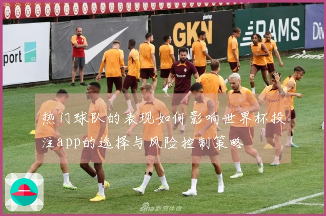 热门球队的表现如何影响世界杯投注app的选择与风险控制策略