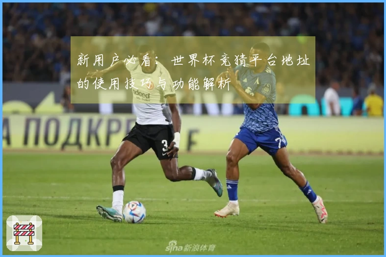 新用户必看：世界杯竞猜平台地址的使用技巧与功能解析