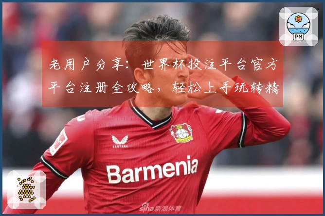 老用户分享：世界杯投注平台官方平台注册全攻略，轻松上手玩转精彩赛事